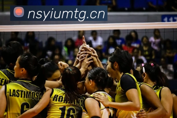 开云官方登陆入口服务体系